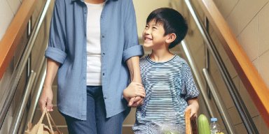 AES113 Kesederhanaan