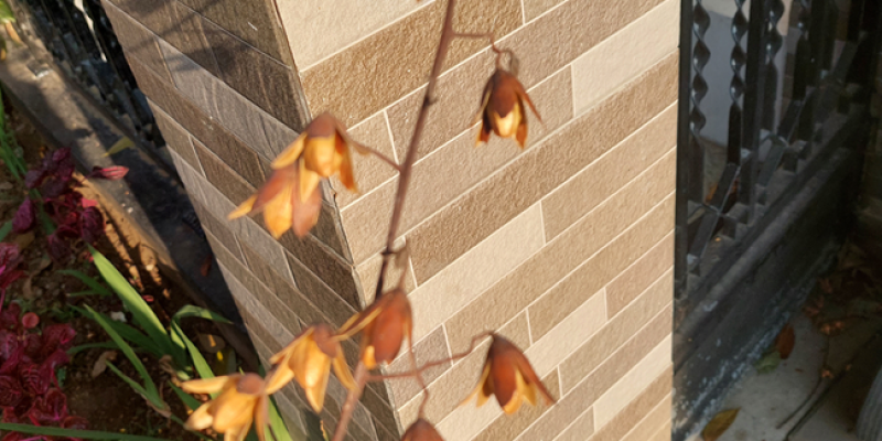 AES122 God's Fingerprints