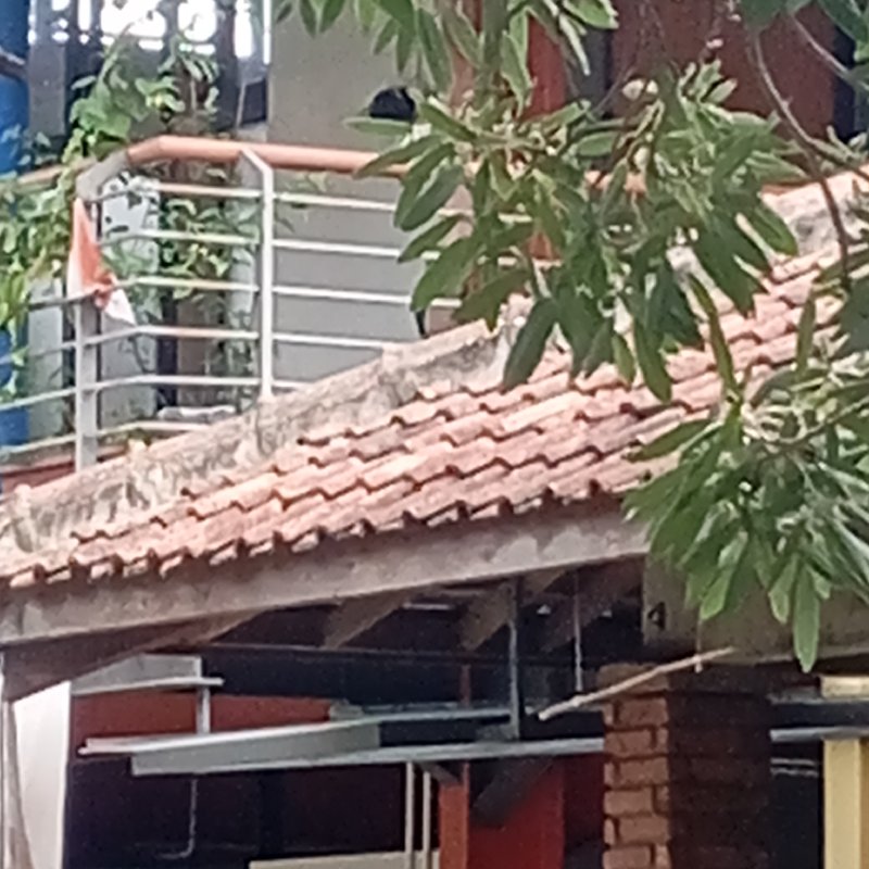 AES 0039 Telat!