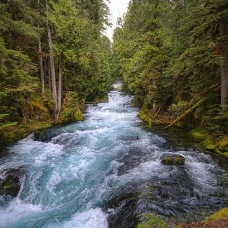 AES 1166 Bagaikan Sungai