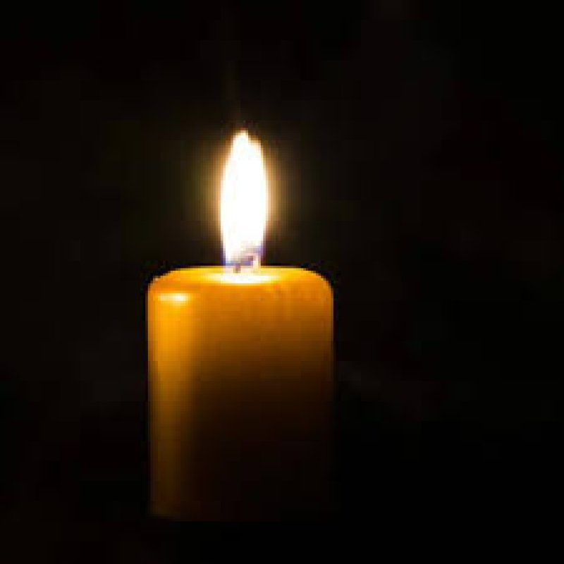 AES008 Lilin
