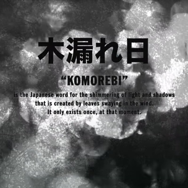 AES682 Komorebi