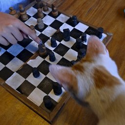 AES031 - catur, rendah hati, dan strategi