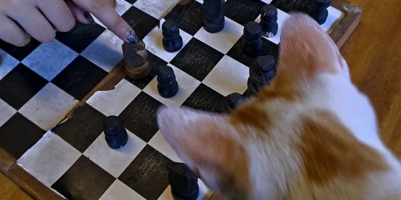 AES031 - catur, rendah hati, dan strategi