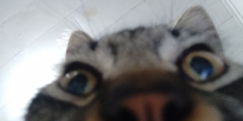 AES 0051 Telat Lagi!!!!?!