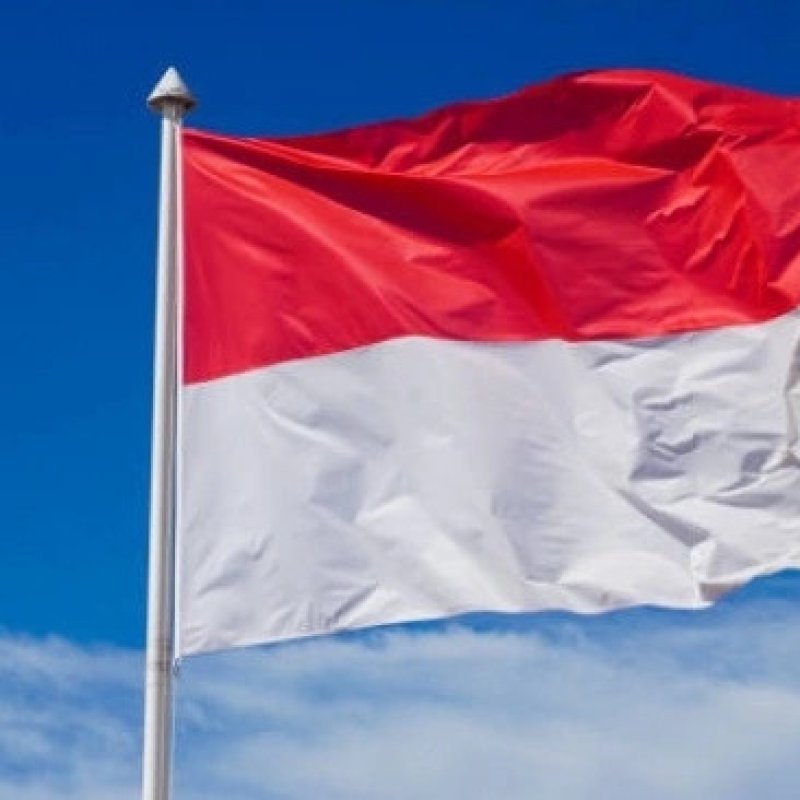 AES686 Merah Putih: Dikibarkan atau Dibiarkan