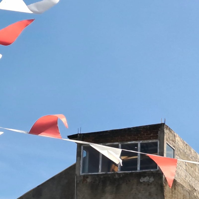 AES032 - buah potong