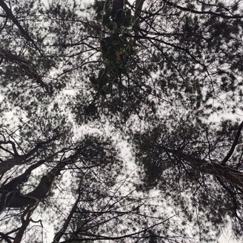 AES21 in tune with the earth