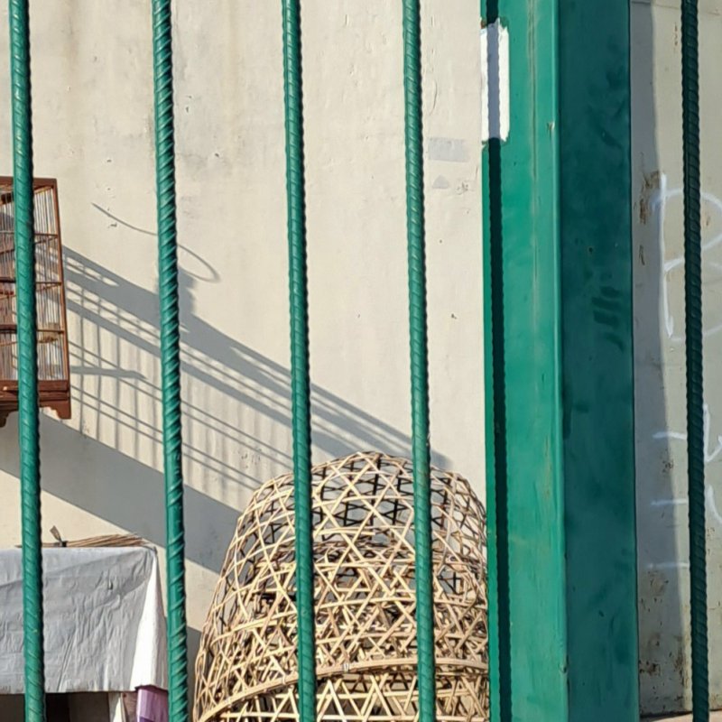 AES036 - The Bird's Song