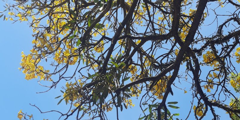 AES91 Catatan Akhir Agustus 