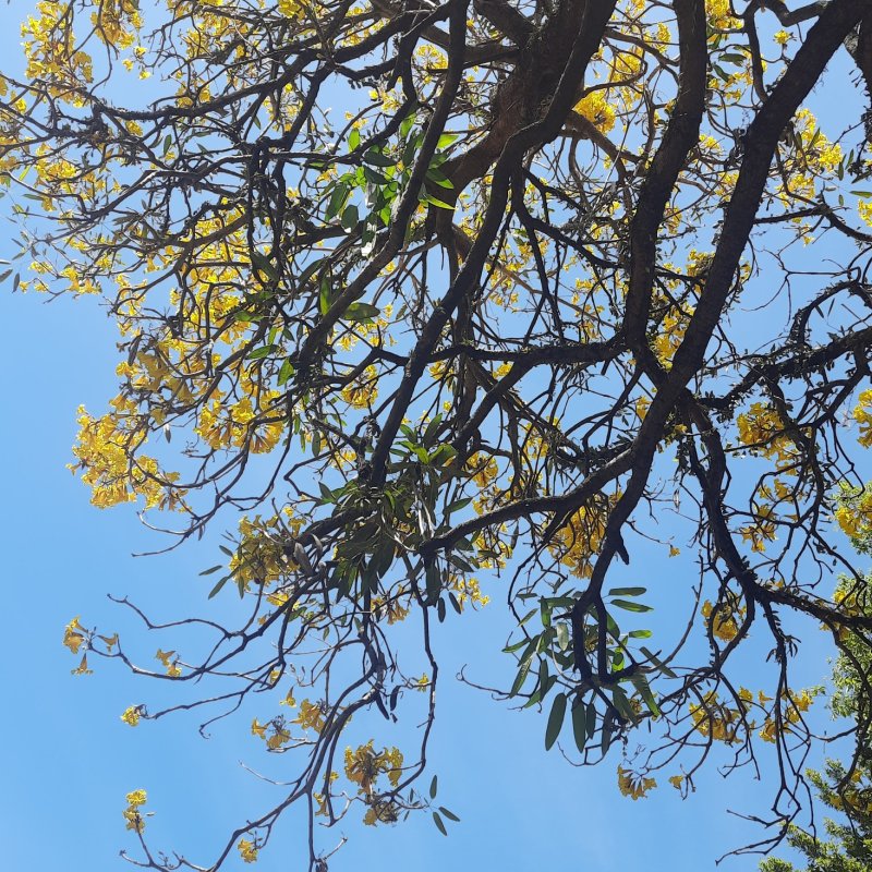 AES91 Catatan Akhir Agustus 