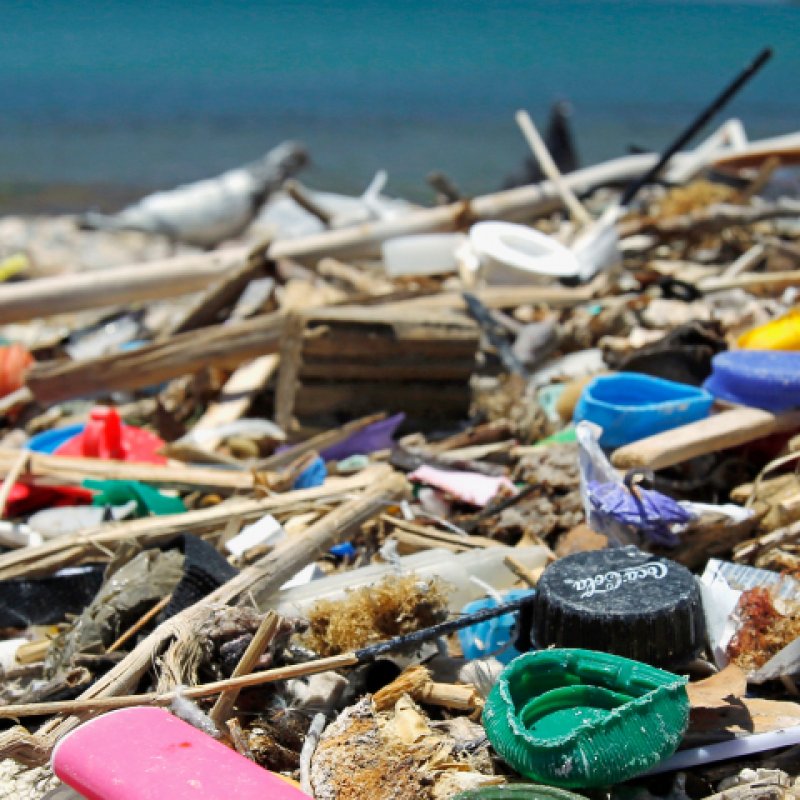 AES512 Membersihkan Samudera