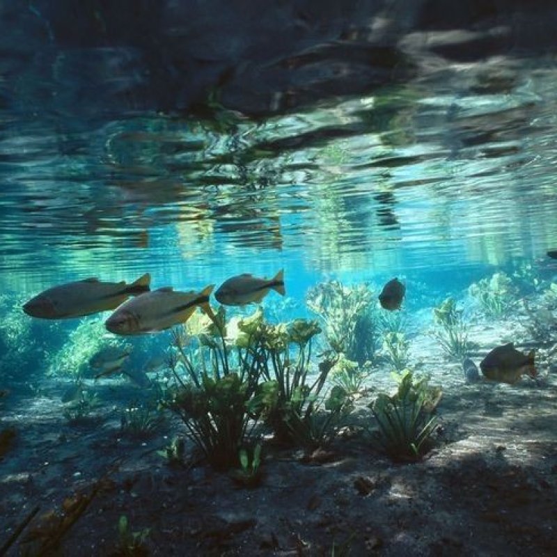 AES17 Time to look back