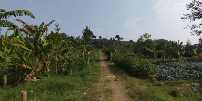AES17 - Mampir ke rumah teman