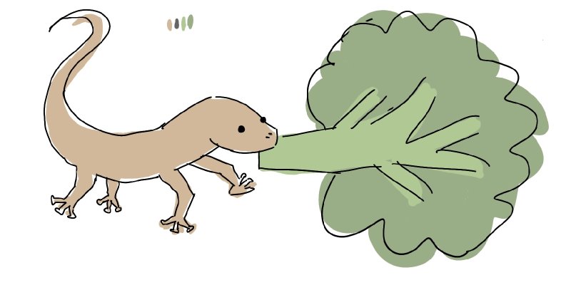 AES044 - Cicak Pencuri Brokoli!