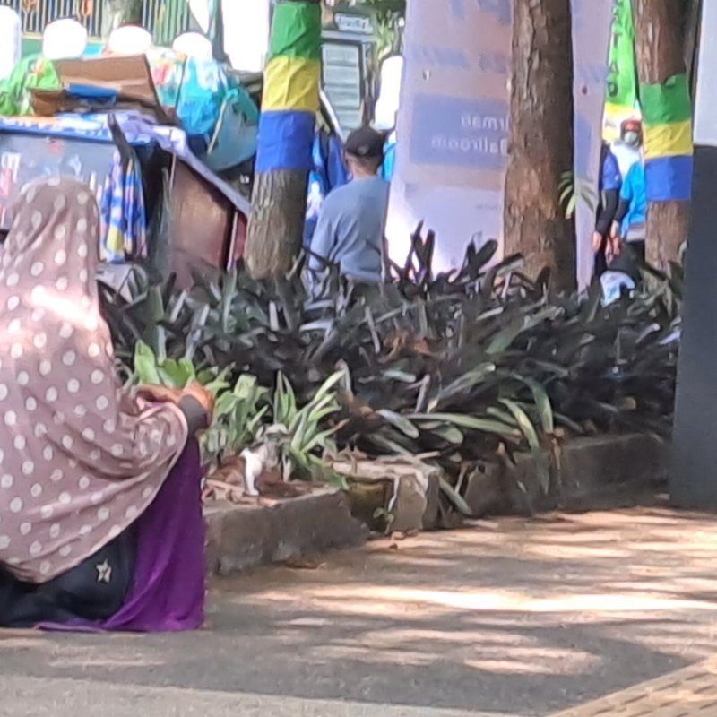 AES047 - empat kaki mungil