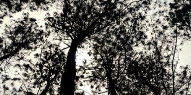 AES056 - Alam Tercermin dalam Kita