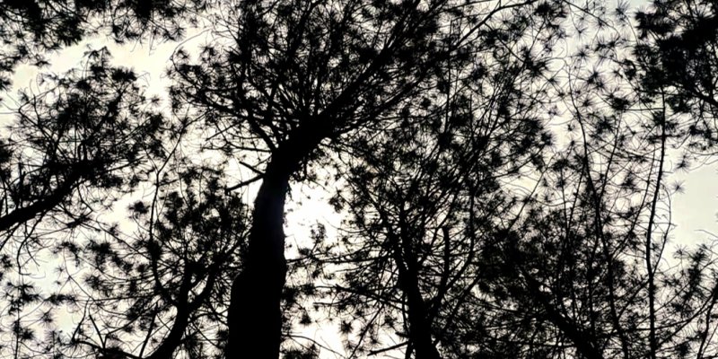 AES056 - Alam Tercermin dalam Kita