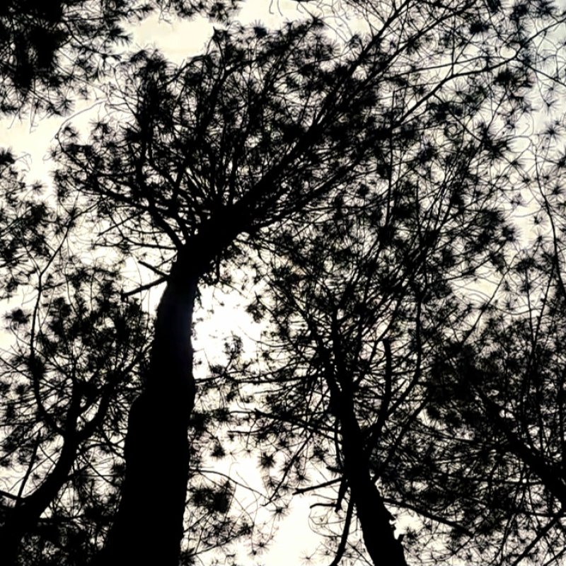 AES056 - Alam Tercermin dalam Kita