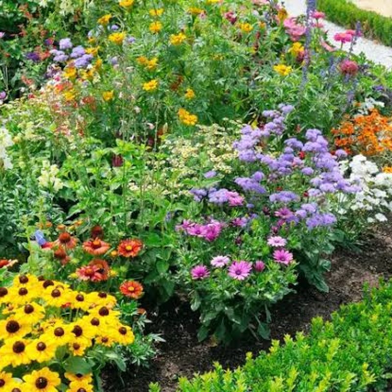 AES016 Ekosistem Ririungan