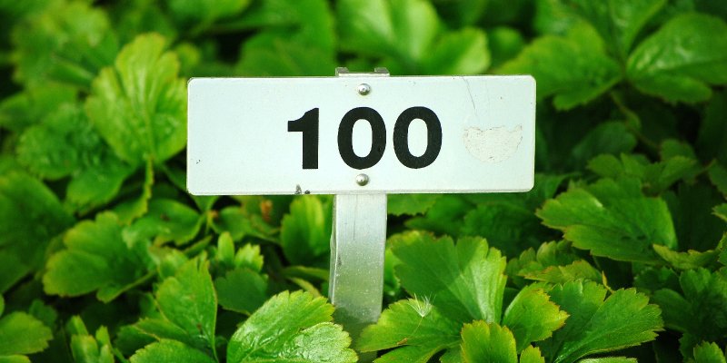 AES100 The Happy Hundreds 