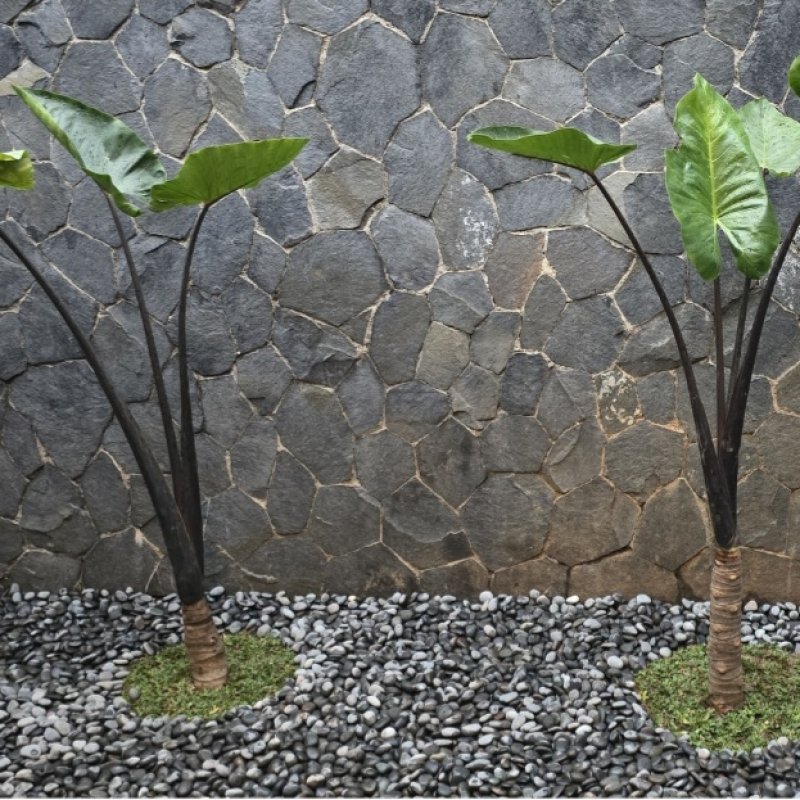 AES  1225 Pohon & Tanaman