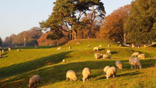 AES22 the periodic table