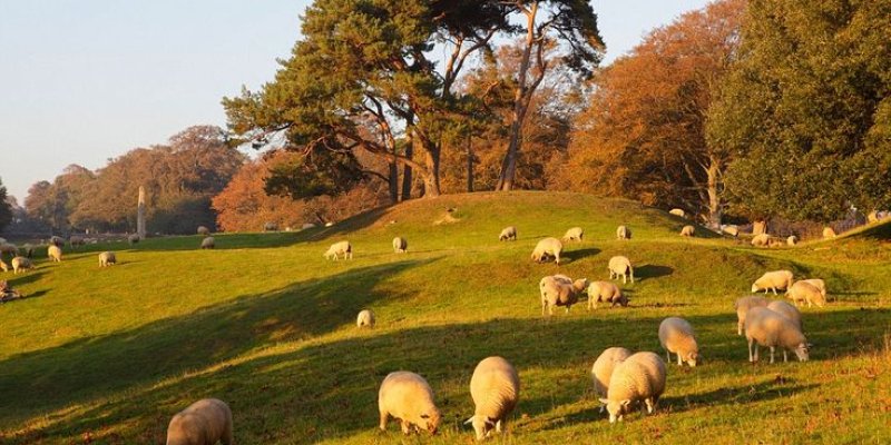 AES22 the periodic table