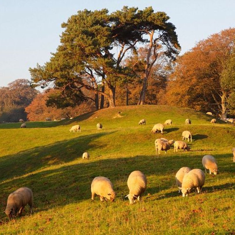 AES22 the periodic table