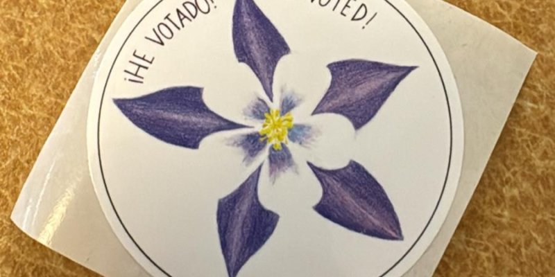 AES 1235 He Votado, I voted