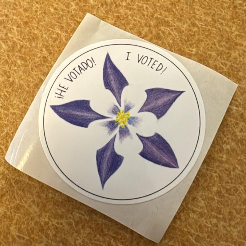 AES 1235 He Votado, I voted