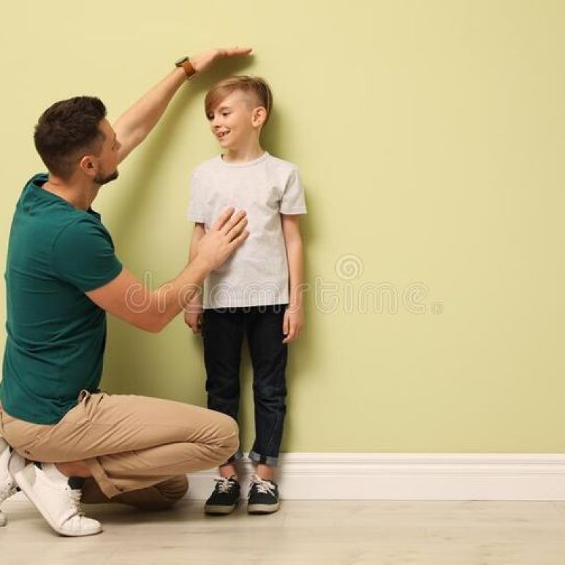 AES 1243 Catatan Sejarah