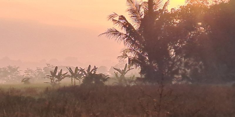 AES076 - Mengenal Bahasa Ibu