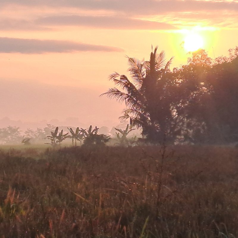 AES076 - Mengenal Bahasa Ibu