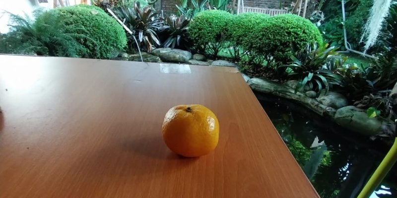 AES003 Gimana makan jeruk?