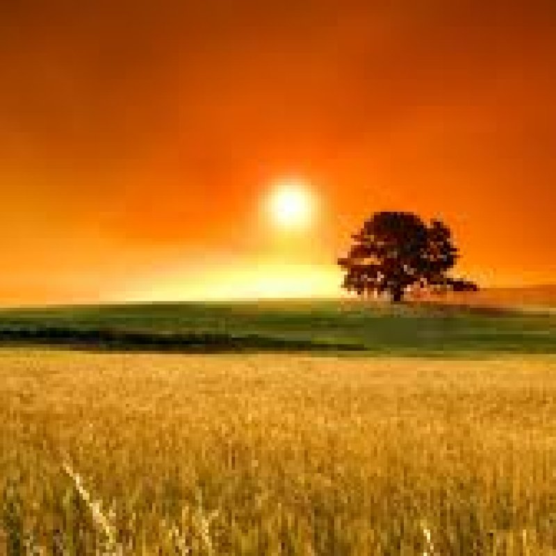 AES 1254 Part Of Something Bigger