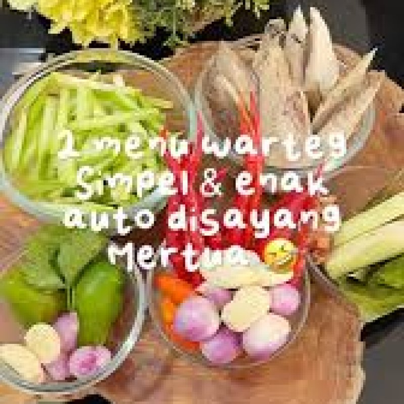 AES 1266 Auto Disayang