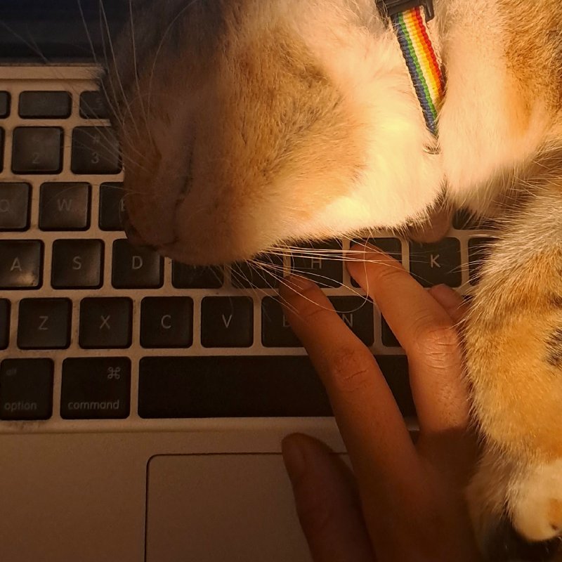 AES087 - Keras Kepala