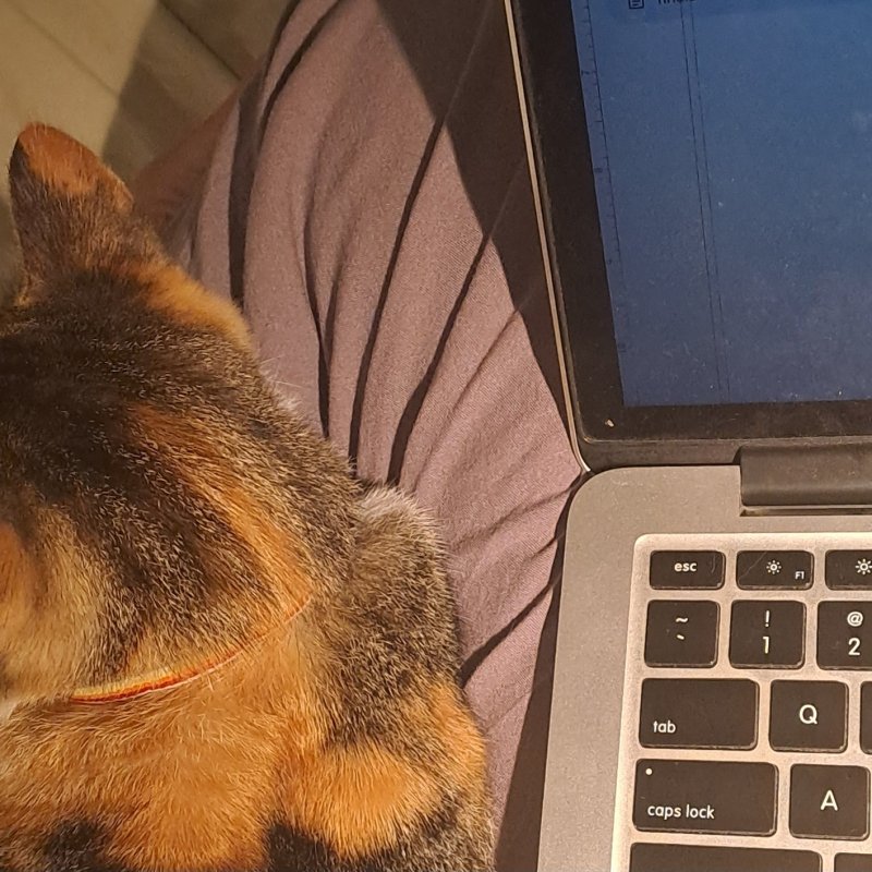 AES090 - Highest Form of Appreciation