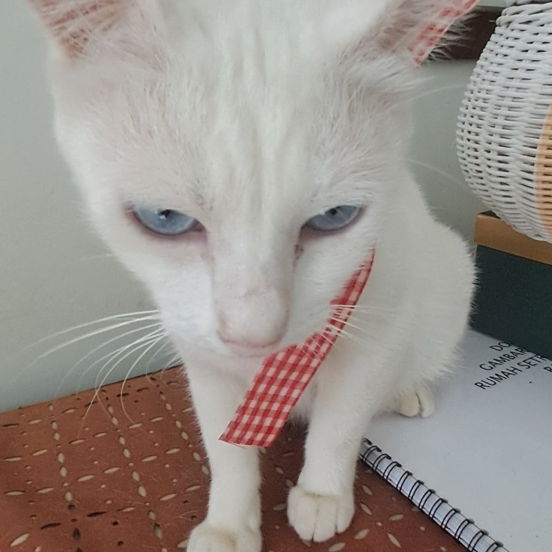 AES097 - Foto 0.5: Sisi Ilmiahnya!