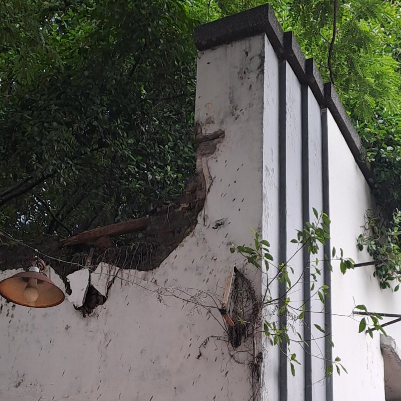 AES102 - Termakan Alam