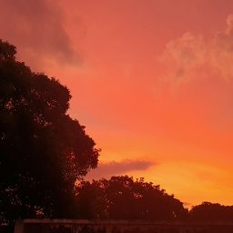 AES748 Kenapa Biru dan Jingga