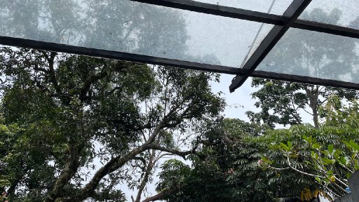 AES113 Angin itu Punya Siapa?