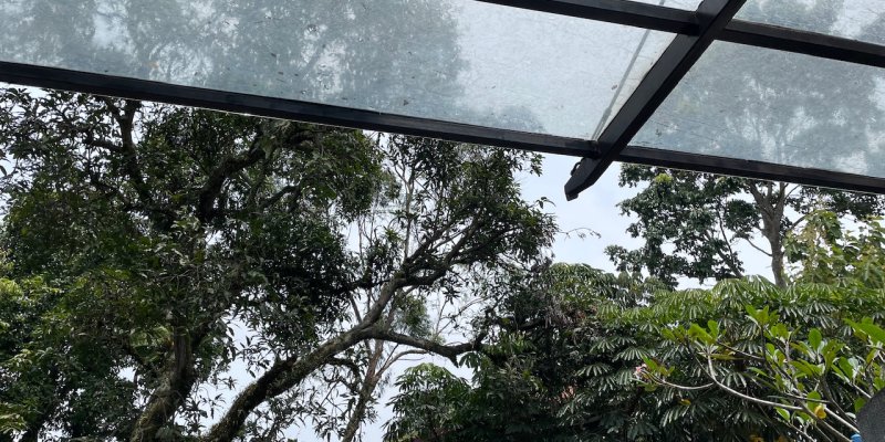 AES113 Angin itu Punya Siapa?