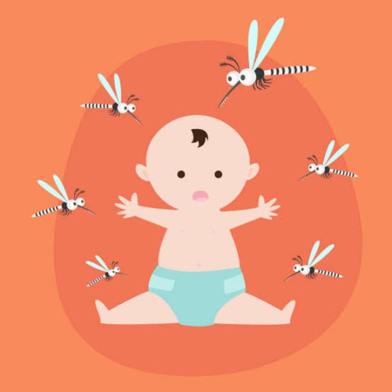 AES121 Adik dan Nyamuk