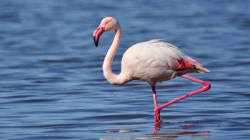 AES002 Seperti Terlahir Kembali