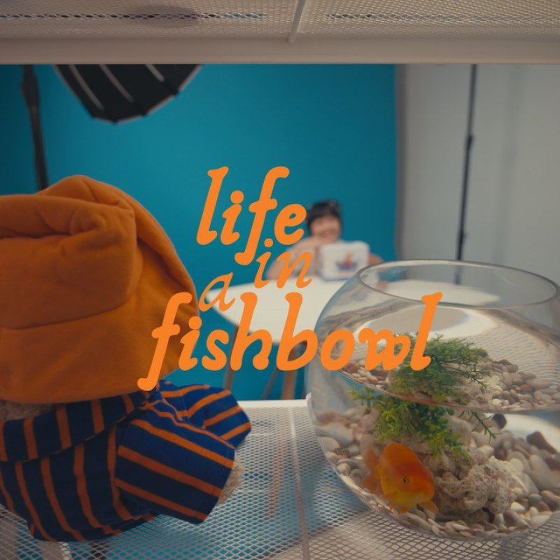 AES 002 Anak yang Menjauh dari Sorotan Kamera|Ulasan Film Life in a Fishbowl
