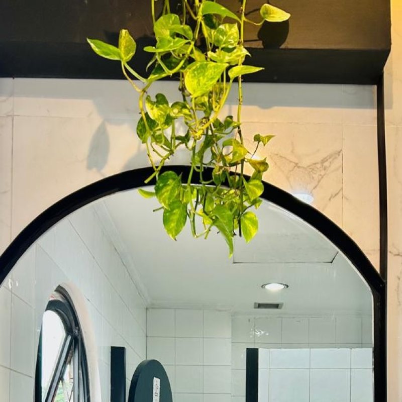 AES13 Pelukan Hangat dari Setiap Kota