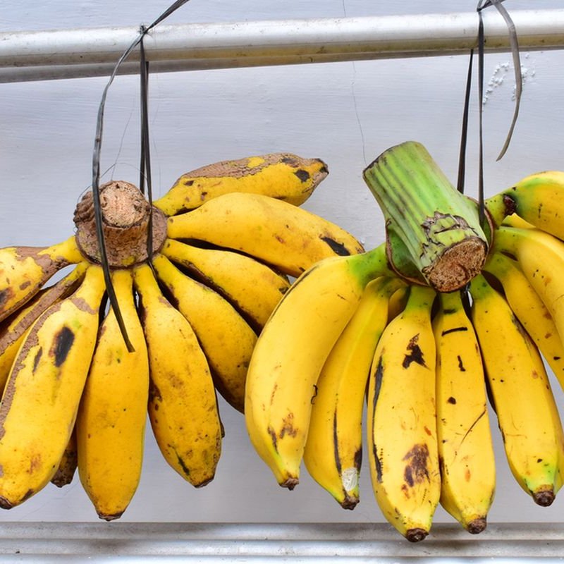 AES 1364 Buah-Buahan