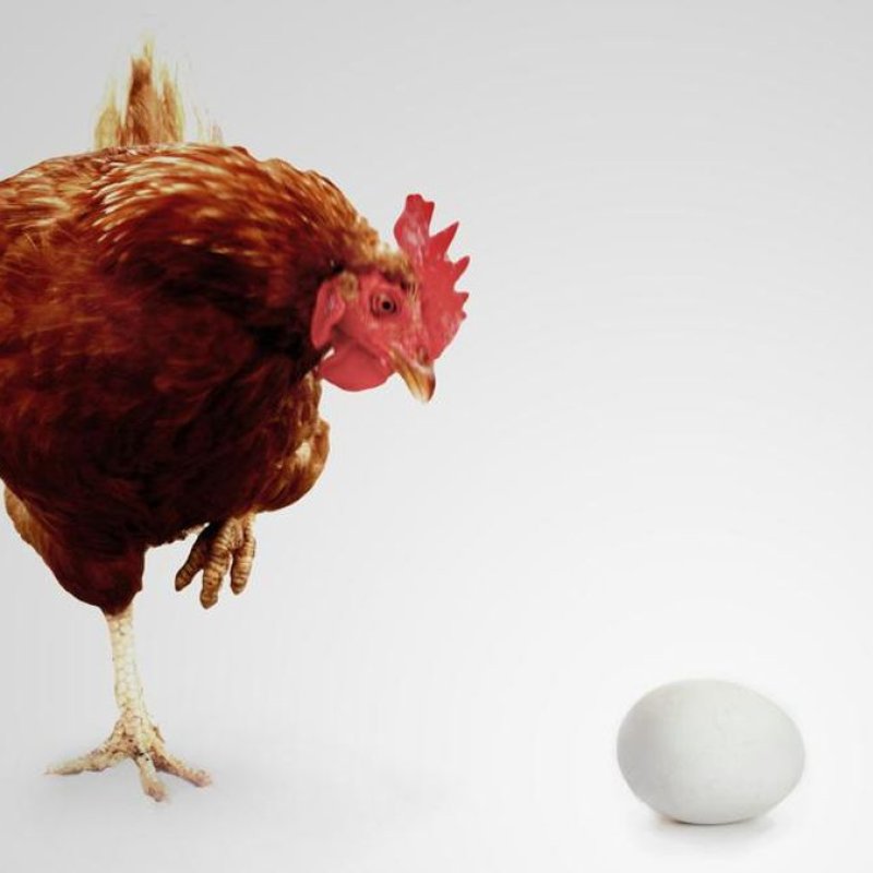 AES147 Mengupas Misteri "Ayam Dulu Atau Telur"